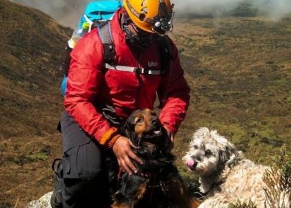 bissell quicksteamer manual guide