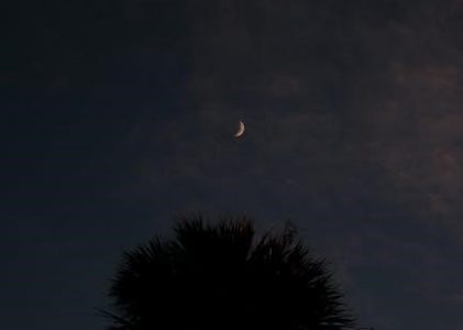 new florida retention pond laws pdf