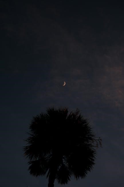 new florida retention pond laws pdf