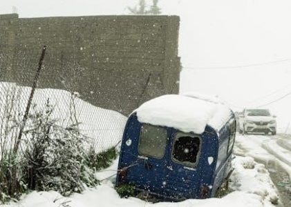 formulaire carte consulaire algérie pdf