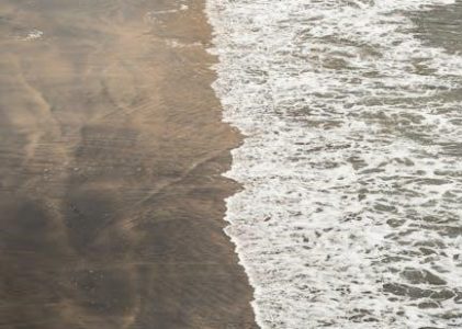 the three waves of volunteers and the new earth pdf