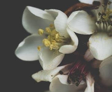 hd parts catalog pdf