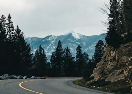 boat lift guide posts