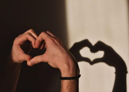 brother sq9185 manual