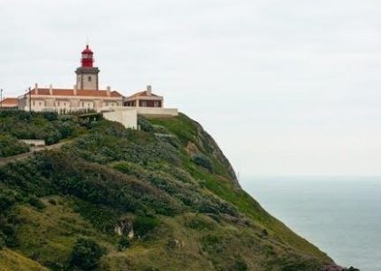 electrode placement guide pdf