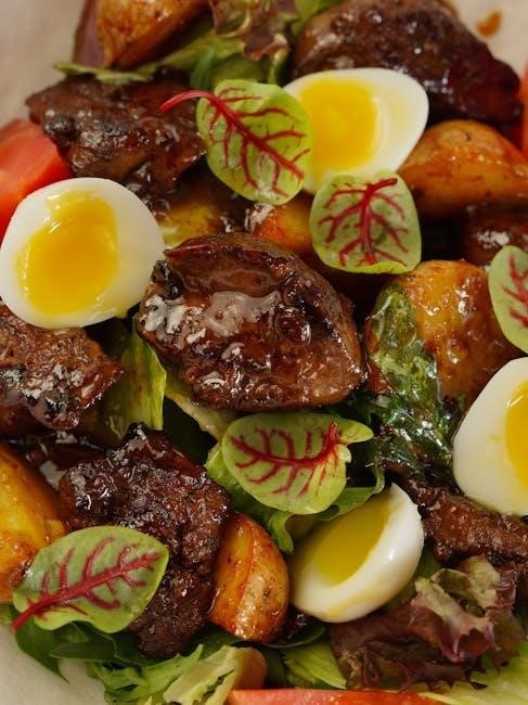 beef cuts diagram pdf