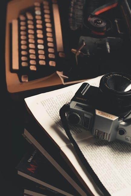 viessmann vitodens 100 manual