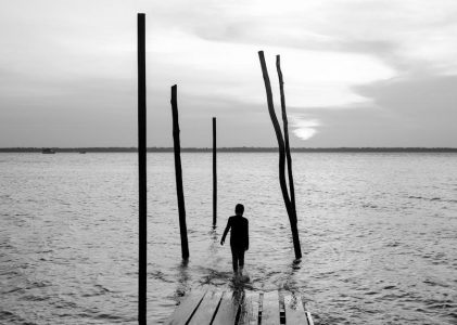 recetas para bebés de 1 año pdf