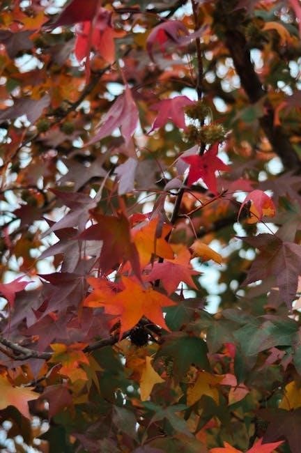 acer velocity shaft trimming instructions