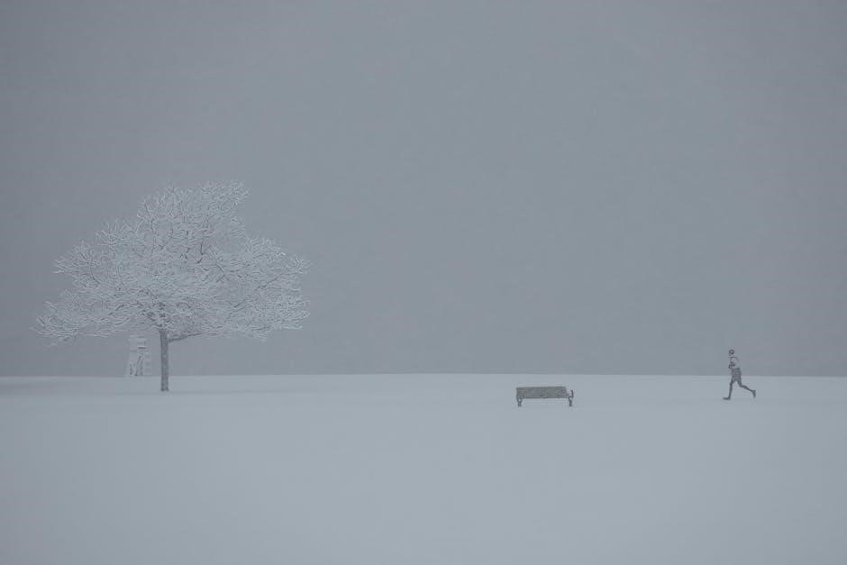 silent knight 5104b manual