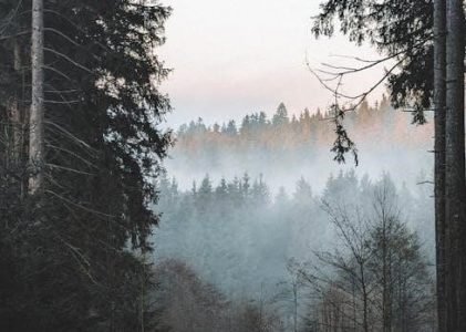 dukh bhanjani sahib path pdf