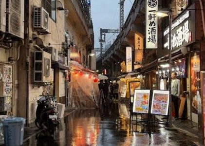 beginner’s guide to japanese joinery pdf