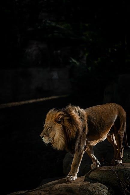 lion witch wardrobe pdf