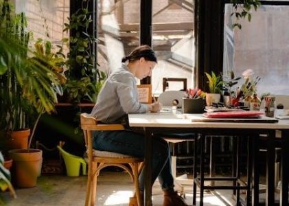 wagner steamer manual