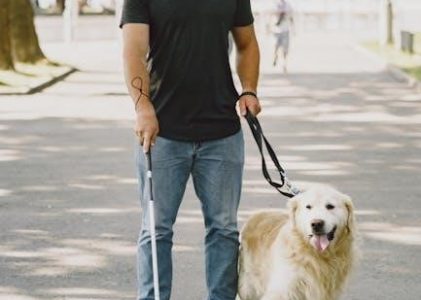 acuvue oasys multifocal fitting guide