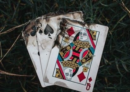 diamond infinite edge pro manual