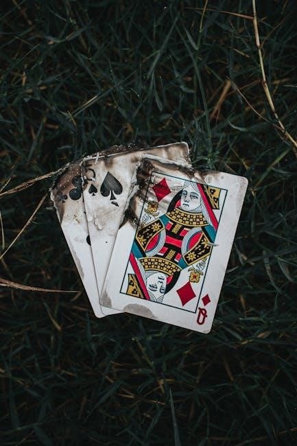 diamond infinite edge pro manual