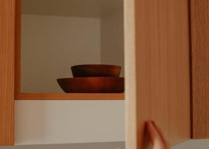 controll a door s manual