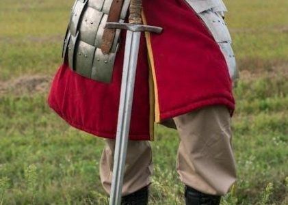 paladin leveling guide sod