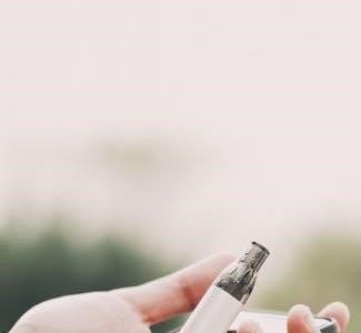 weber spirit e 210 user manual