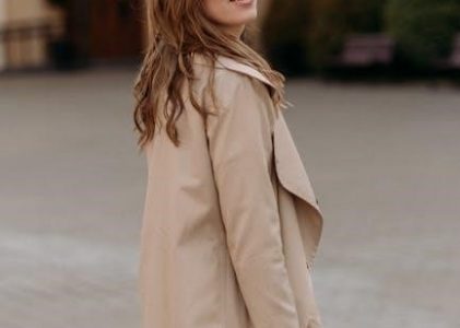 a burglars guide to the city