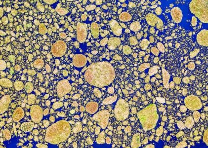 seurat find best pca tutorial